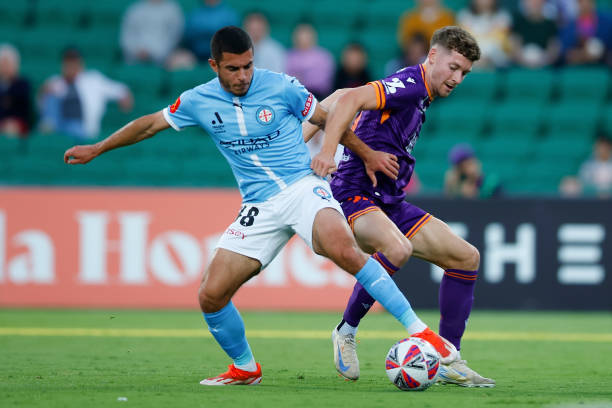 出色的身体 出色的身体