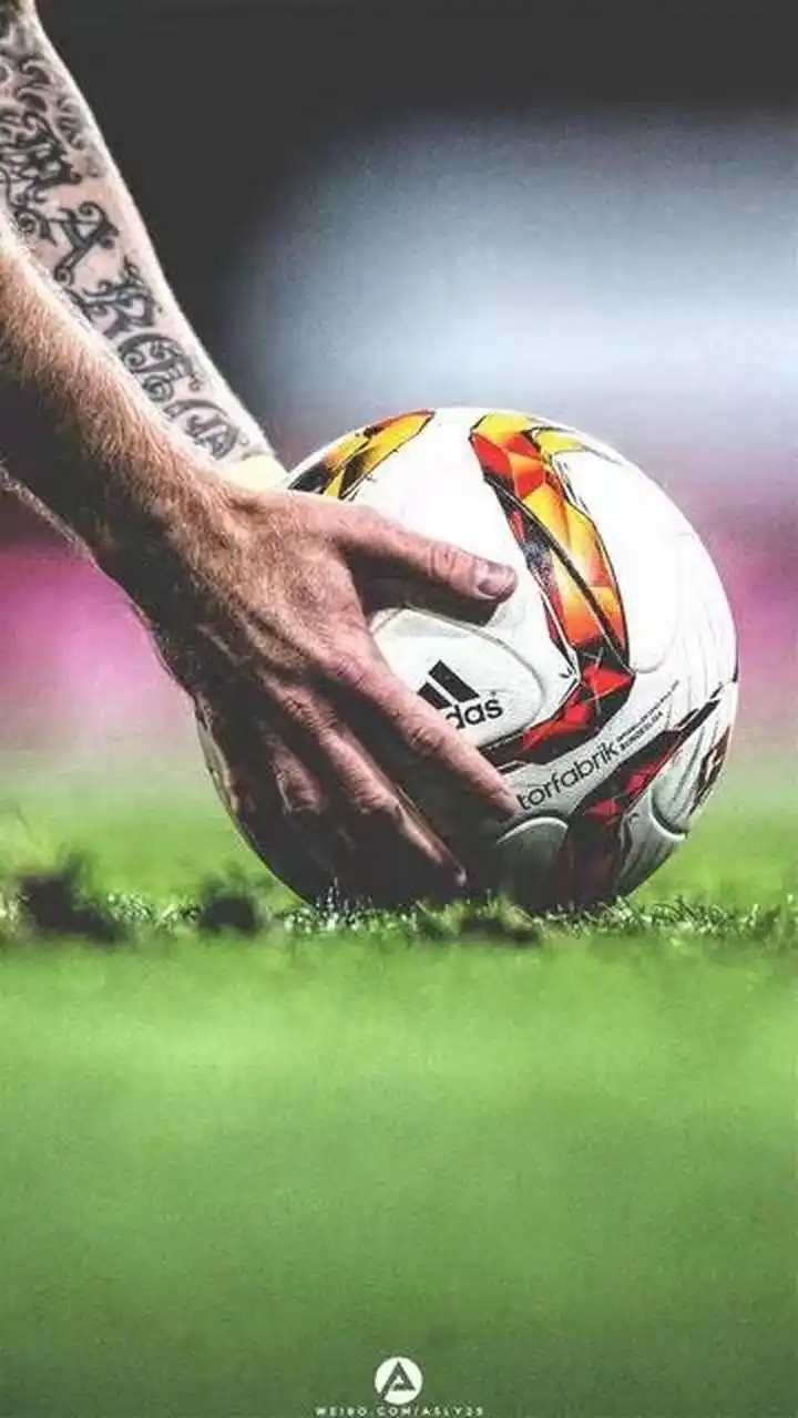 分机会奠定 分机会奠定