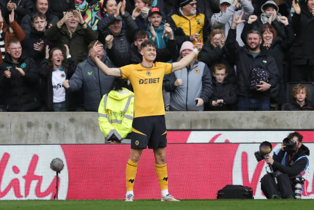 天覆地的绿 天覆地的绿